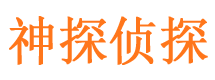 林口市调查公司